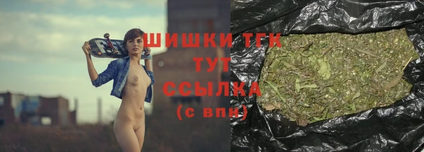 трава Гусиноозёрск