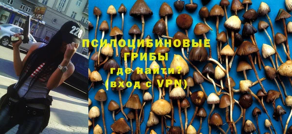 кокаин колумбия Гусев