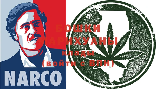 трава Гусиноозёрск
