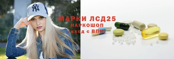 трава Гусиноозёрск