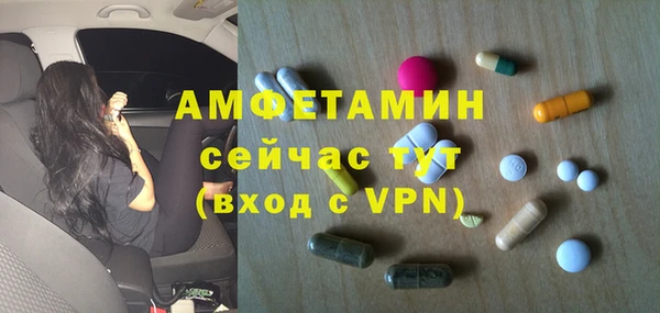 трава Гусиноозёрск