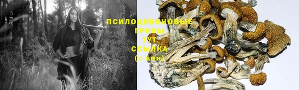кокаин колумбия Гусев