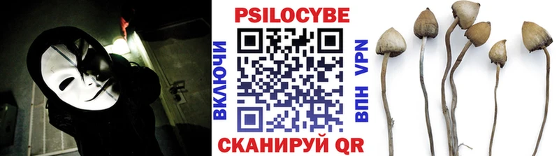 что такое   kraken ССЫЛКА  Галлюциногенные грибы Cubensis  Яхрома 