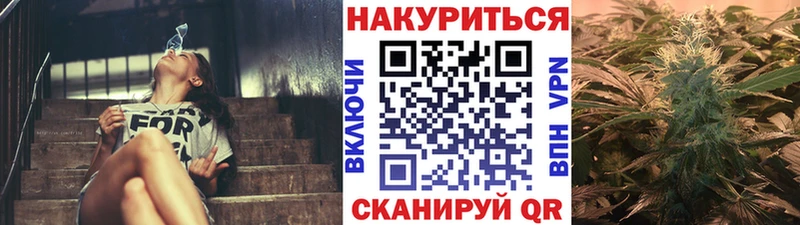 наркотики  Яхрома  Каннабис гибрид 